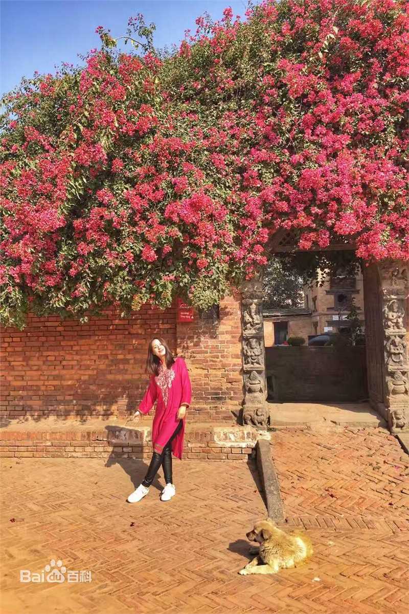 王力可(Rainbow)2017年尼泊尔之旅壁纸壁纸