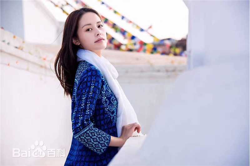 王力可(Rainbow)2017年尼泊尔之旅壁纸壁纸