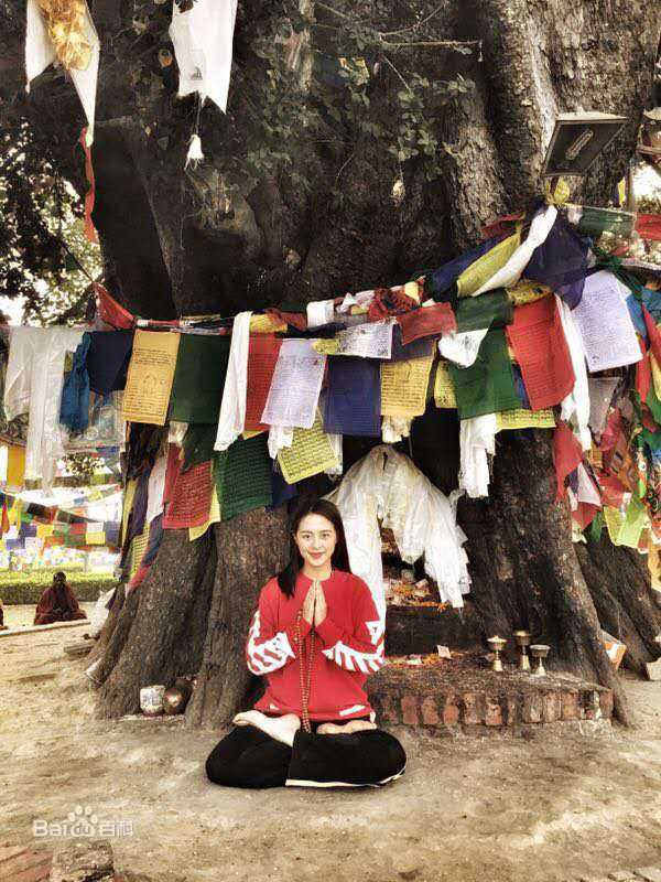 王力可(Rainbow)2017年尼泊尔之旅壁纸壁纸