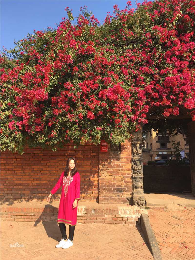 王力可(Rainbow)2017年尼泊尔之旅壁纸壁纸