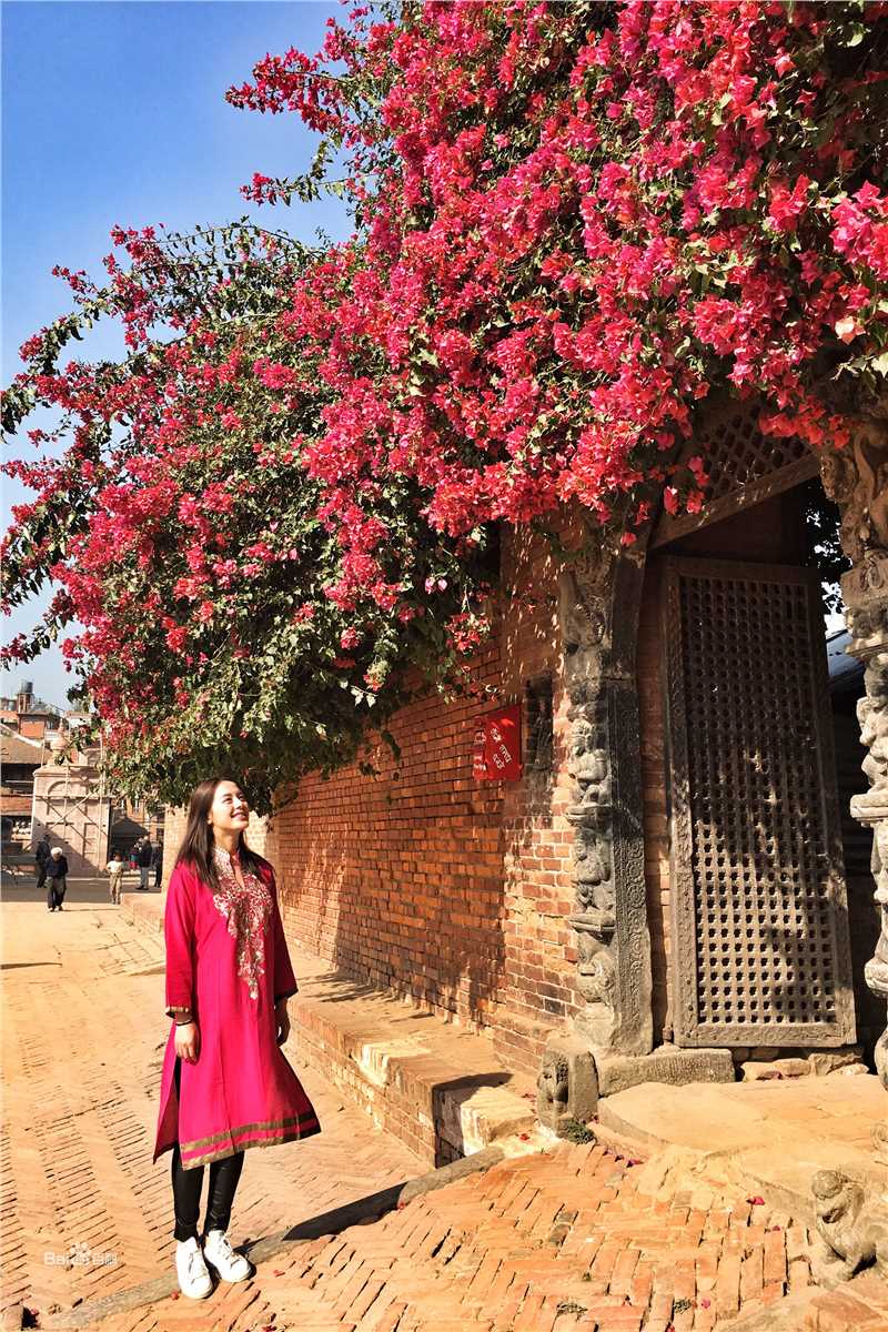 王力可(Rainbow)2017年尼泊尔之旅壁纸壁纸