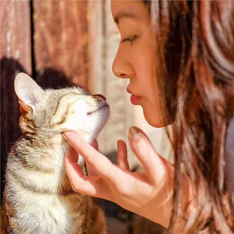 王力可(Rainbow)恬静如喵图册