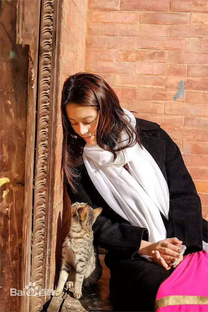 王力可(Rainbow)恬静如喵图册