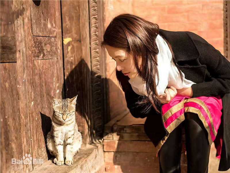 王力可(Rainbow)恬静如喵图册