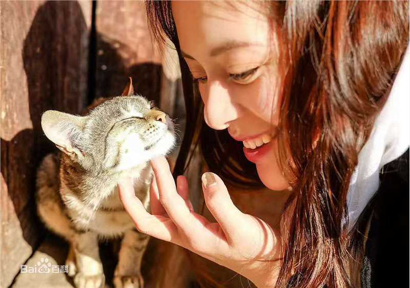 王力可(Rainbow)恬静如喵图册