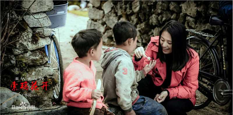 王力可(Rainbow)索玛花开壁纸壁纸