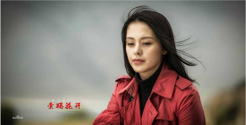 王力可(Rainbow)索玛花开壁纸壁纸