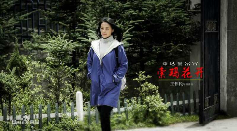 王力可(Rainbow)索玛花开壁纸壁纸