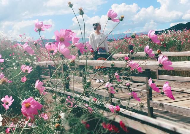 王力可(Rainbow)彩云之南泸沽湖生活照