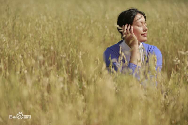 王力可(Rainbow)向阳的日子图片图册