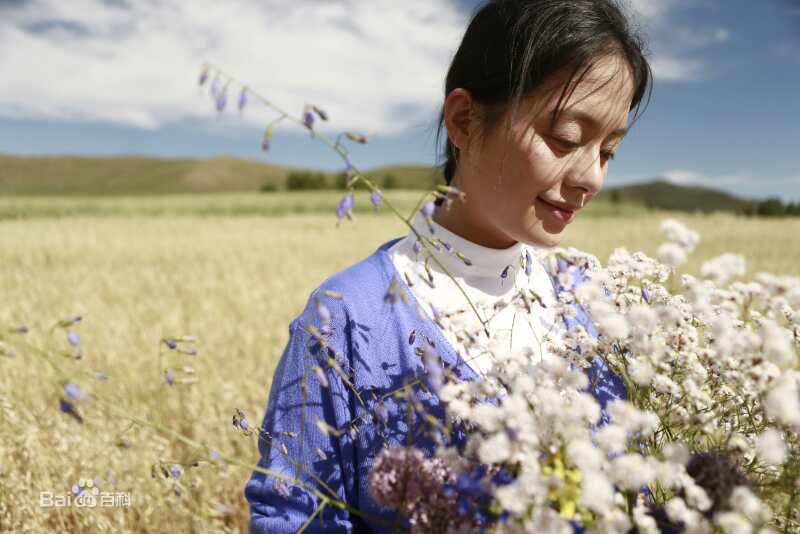 王力可(Rainbow)向阳的日子图片图册