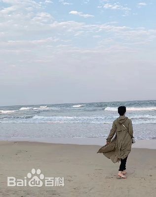 王力可(Rainbow)海边踏浪性感图片图集