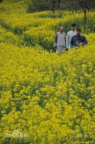 任程伟精彩图册