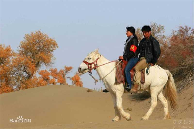 王雅捷精彩图册