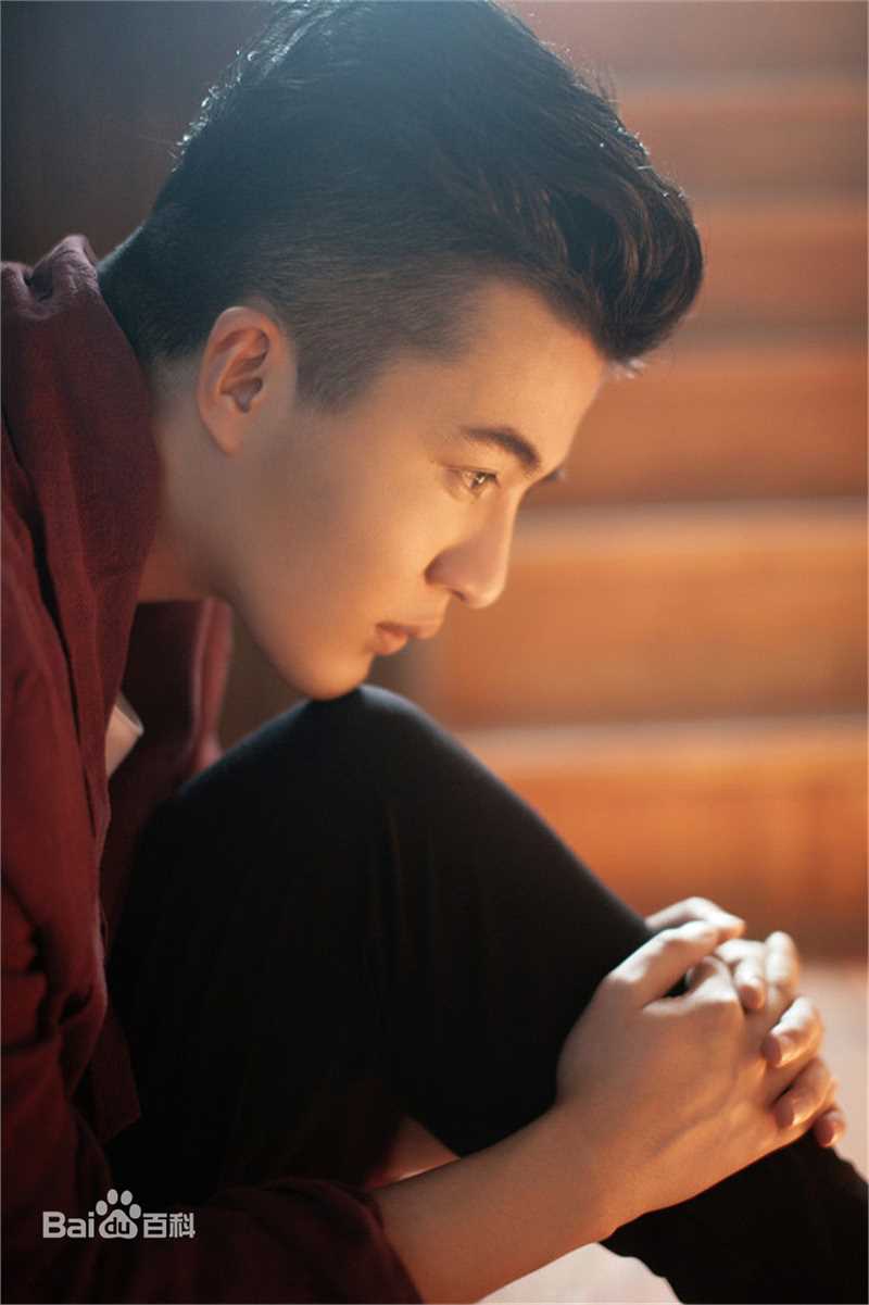 郑斯仁“画框中的少年”