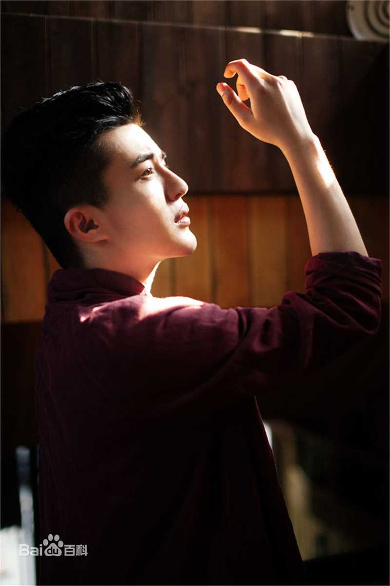 郑斯仁“画框中的少年”