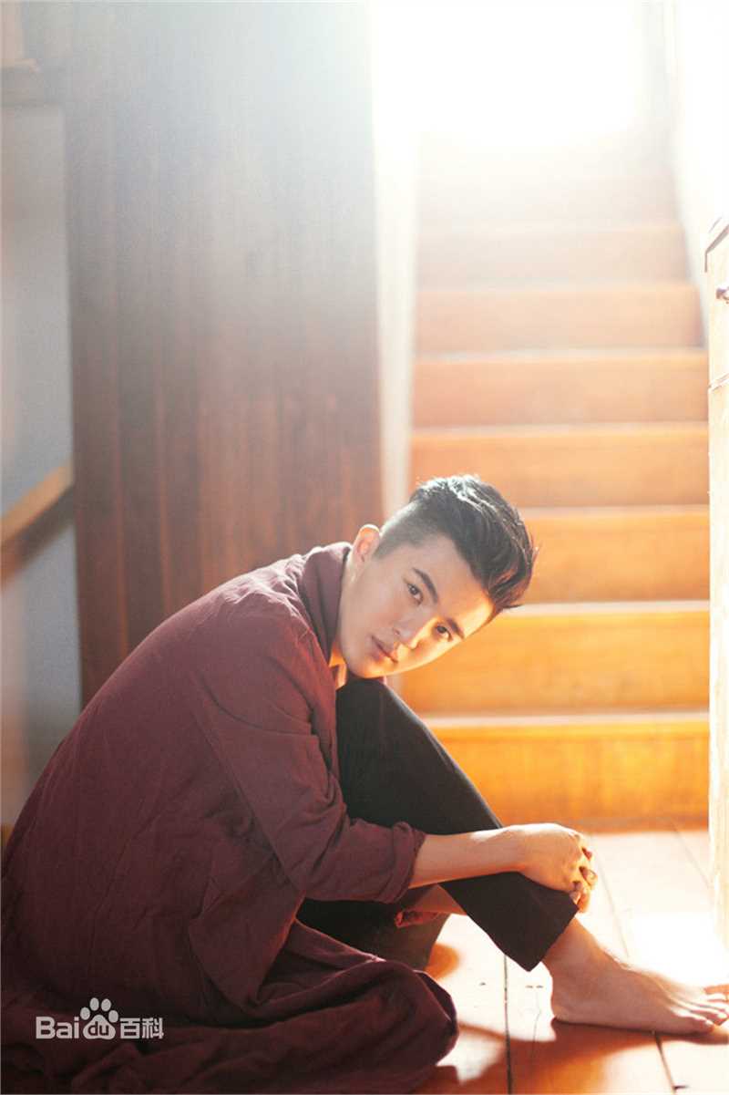 郑斯仁“画框中的少年”