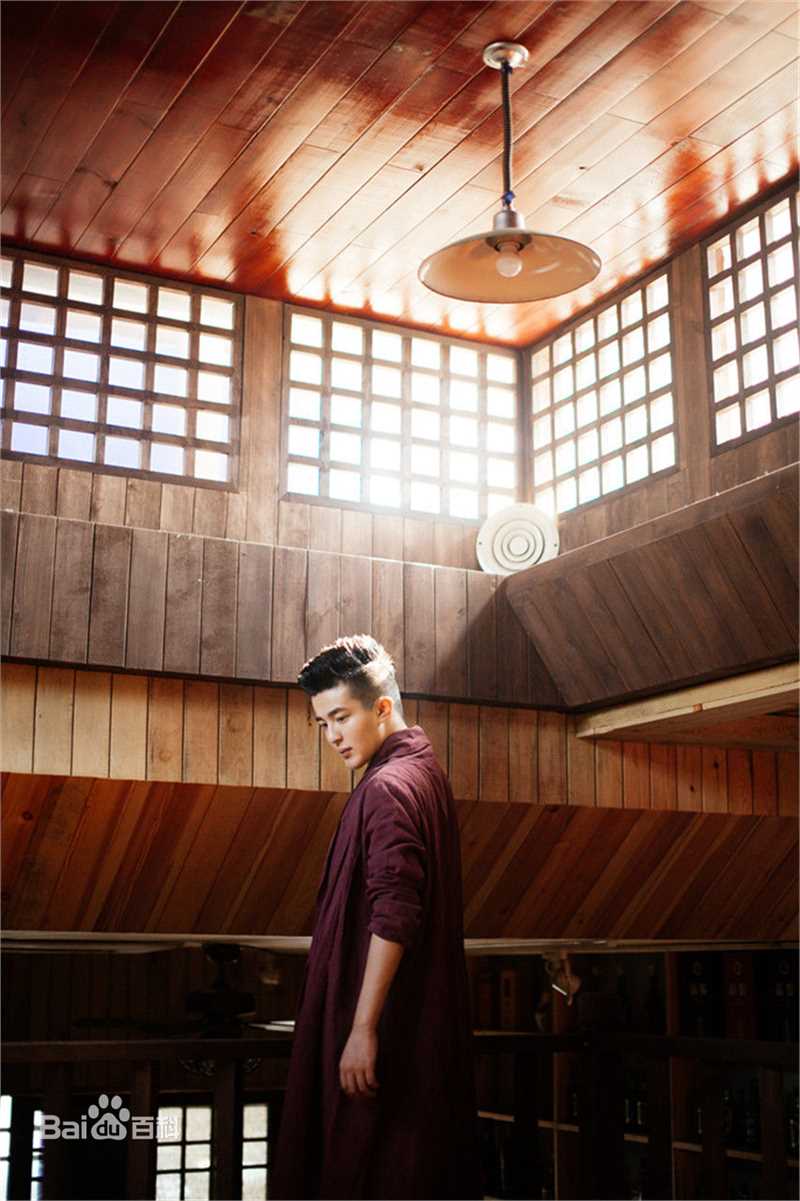 郑斯仁“画框中的少年”