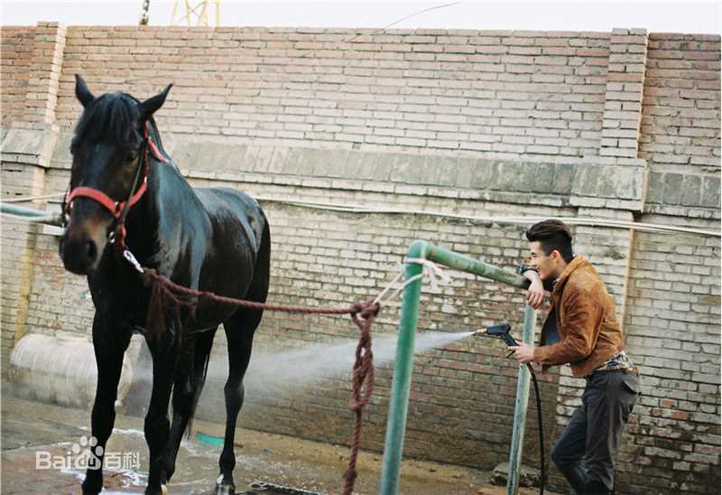 郑斯仁马厮阳光