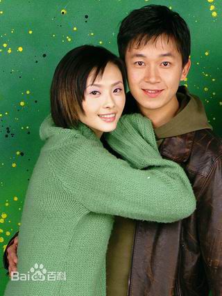 参演电视剧（1991-2003）