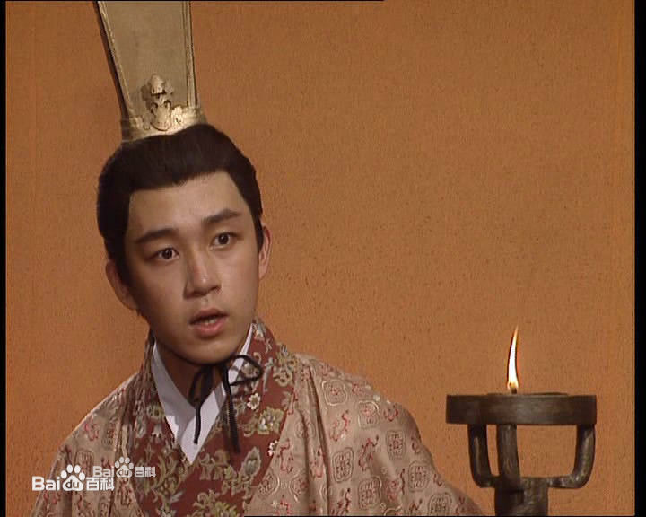 参演电视剧（1991-2003）