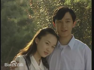 参演电视剧（1991-2003）