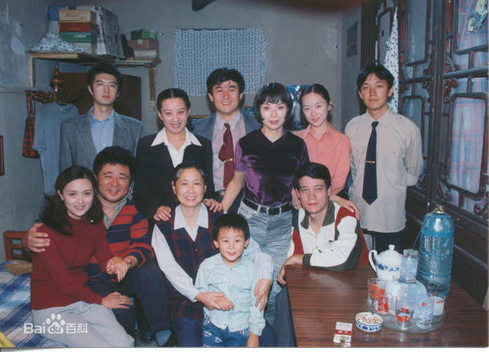 参演电视剧（1991-2003）