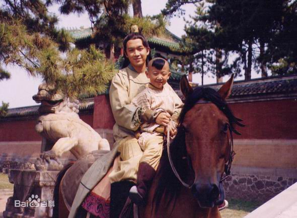 参演电视剧（1991-2003）