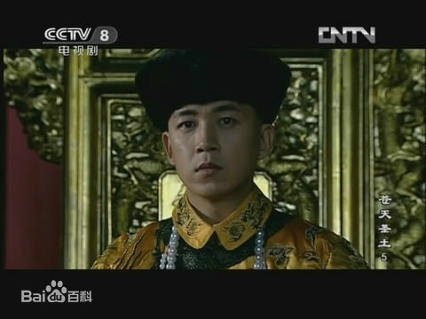 参演电视剧（2004-2008）