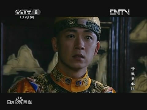 参演电视剧（2004-2008）