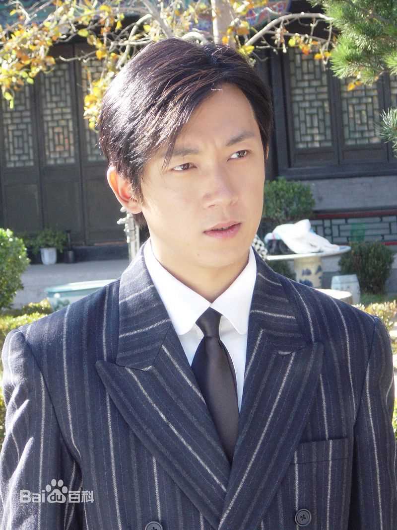 参演电视剧（2004-2008）