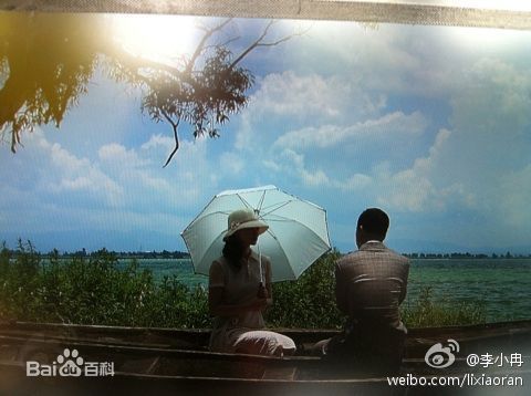 参演电视剧（2010-）