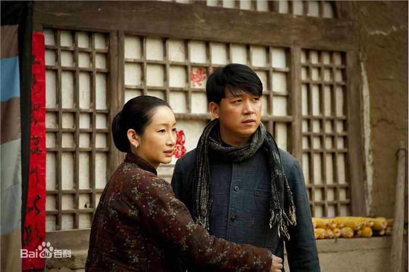 参演电视剧（2010-）