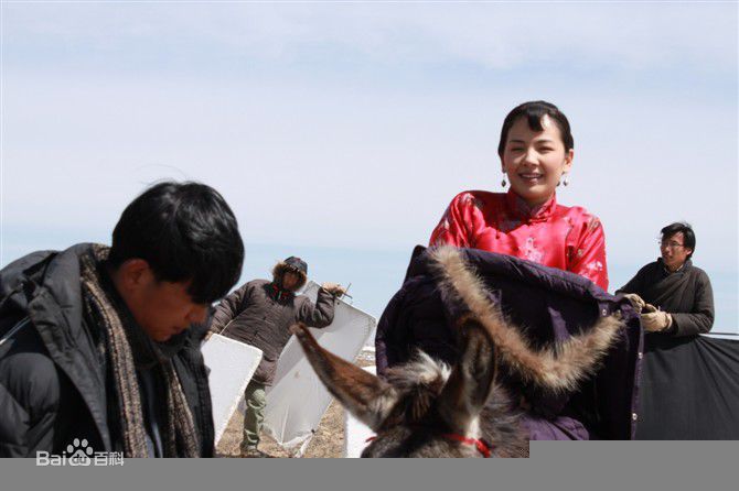 2010年《盘龙卧虎高山顶》剧照