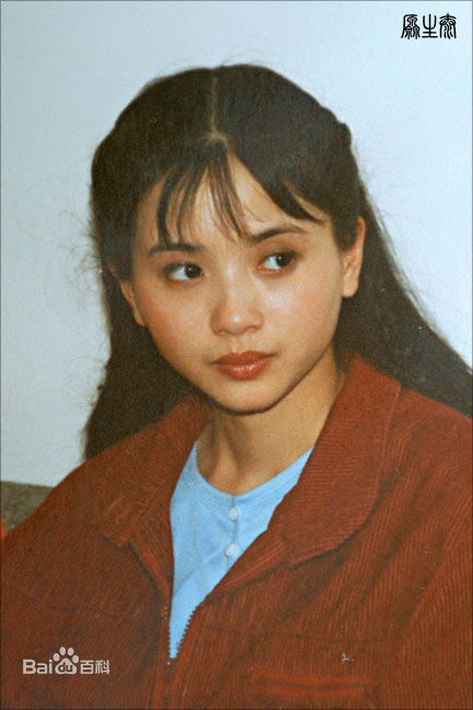 陶慧敏精彩图册