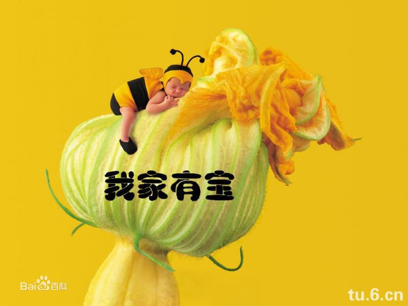 精选李成儒(Chengru Li)