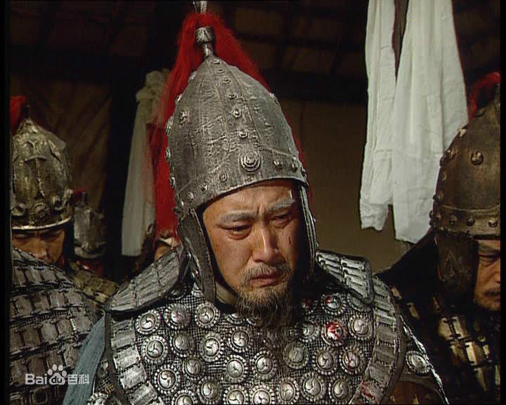 樊志起饰演的姜维