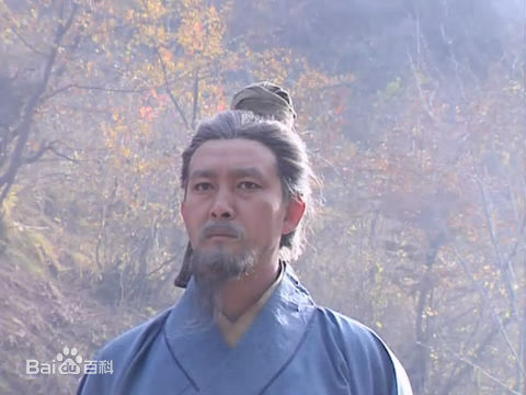 樊志起饰演的姜维