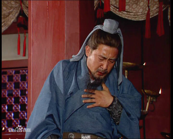 樊志起饰演的姜维