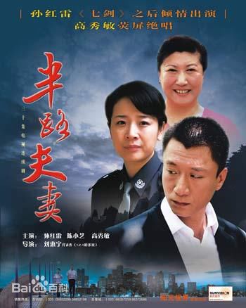 《樊志起》封面图片