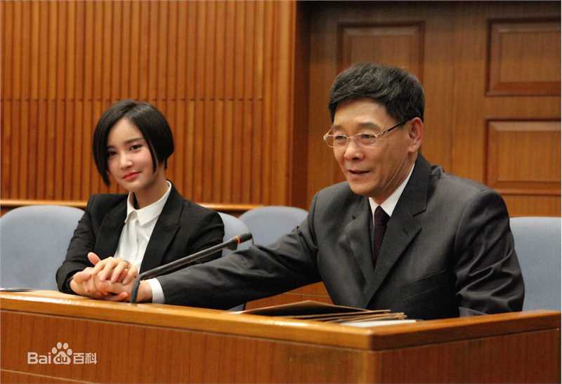 电视剧《三个奶爸》陶父