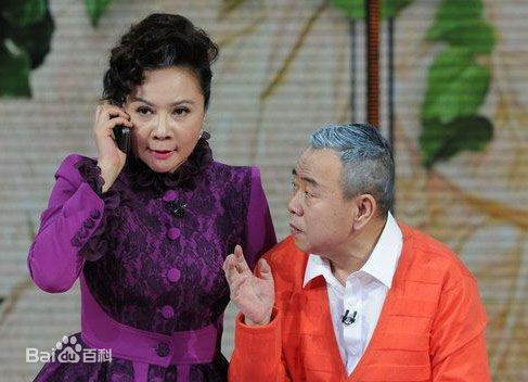 蔡明历年春晚、元宵晚会造型