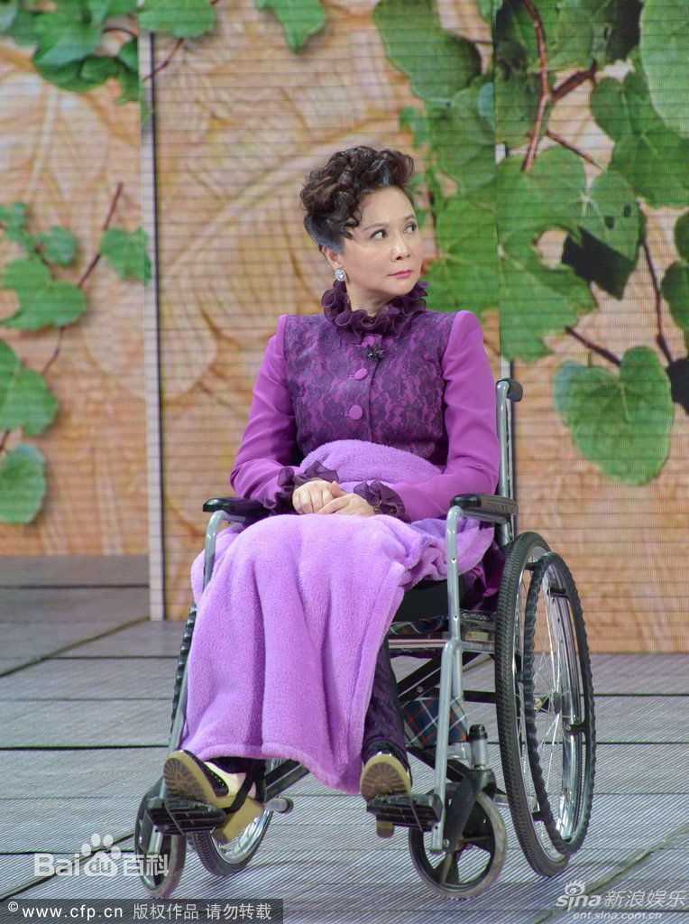 蔡明历年春晚、元宵晚会造型