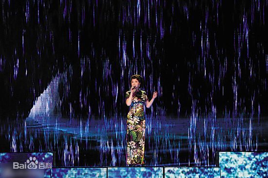 蔡明历年春晚、元宵晚会造型