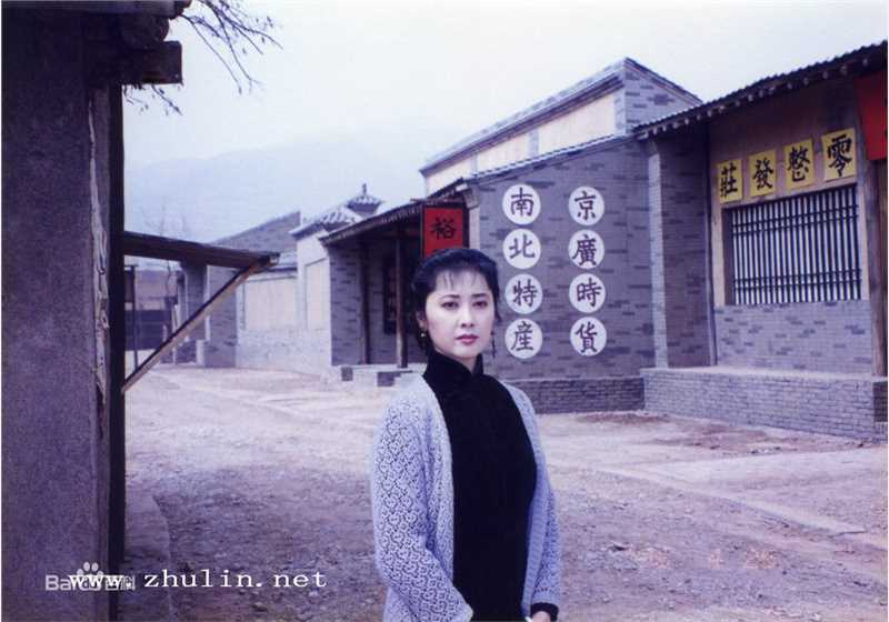 电视剧《大秦腔》剧照