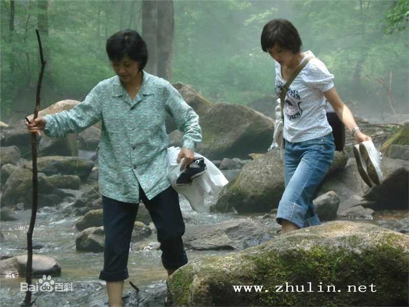 电视剧《静静的白桦林》剧照