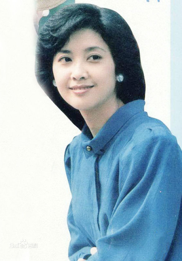 《朱琳》封面图片