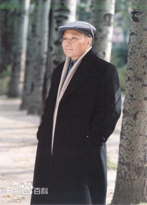 卢奇扮演的邓小平