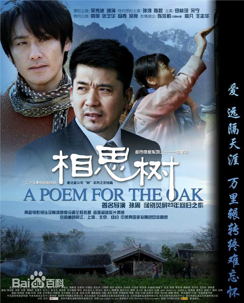 《杨青》封面图片