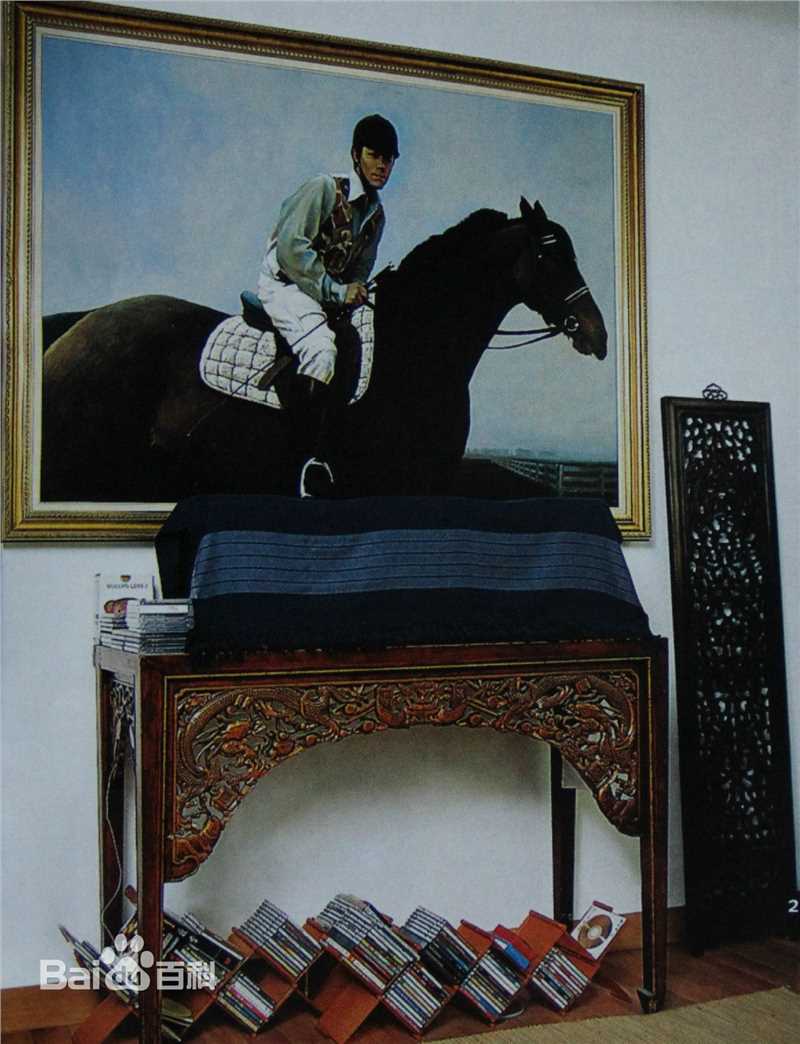 《蔡国庆》家居